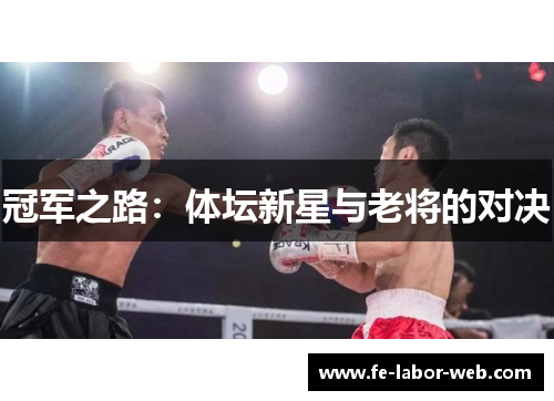 冠军之路：体坛新星与老将的对决